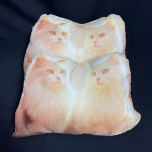 Gối in hình 2 chú mèo