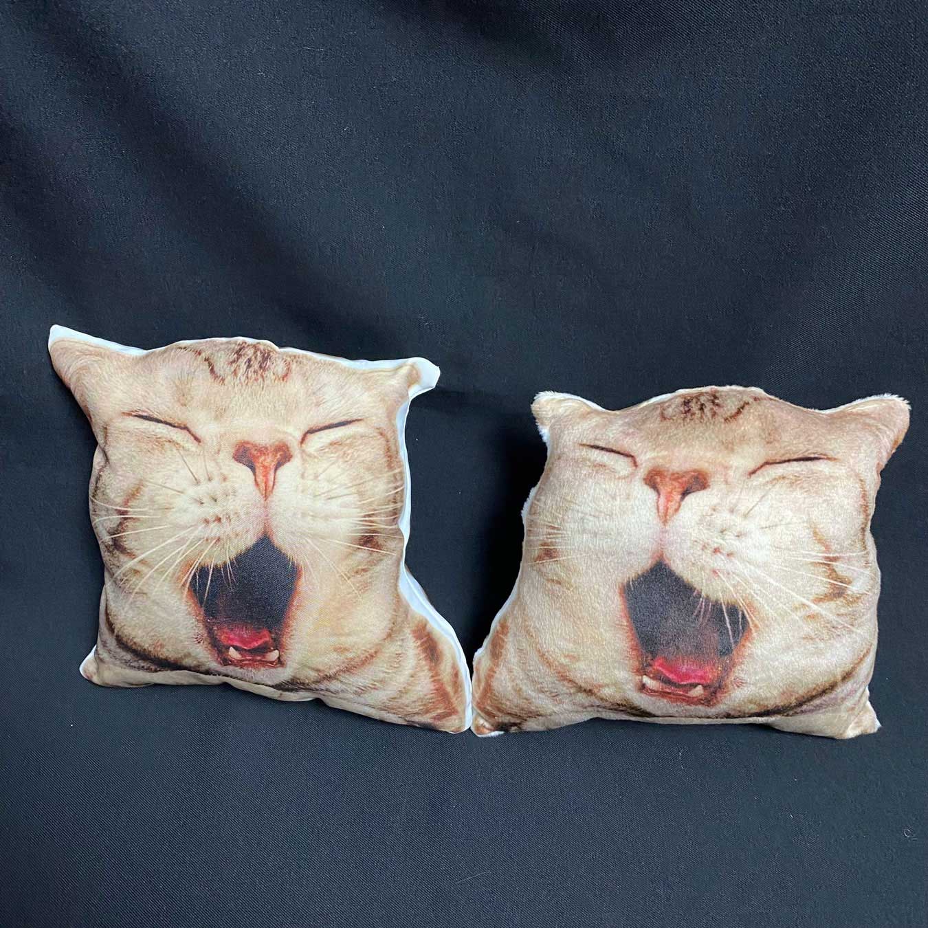 Gối in hình mèo theo yêu cầu