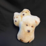 Gối in hình giống chó Bichon theo yêu cầu