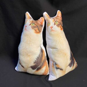 Gối in hình mèo mướp