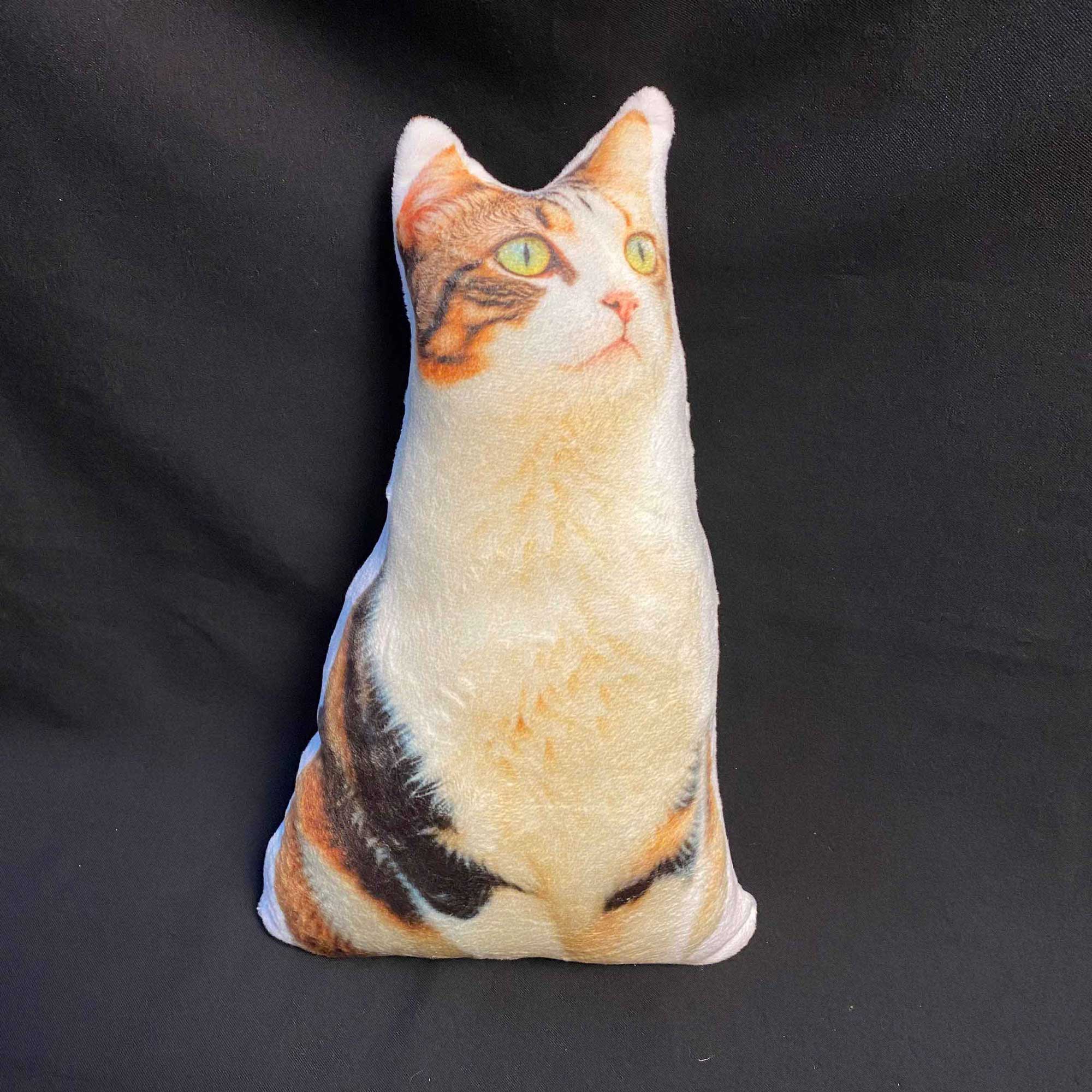 Gối in mèo mướp quen thuộc