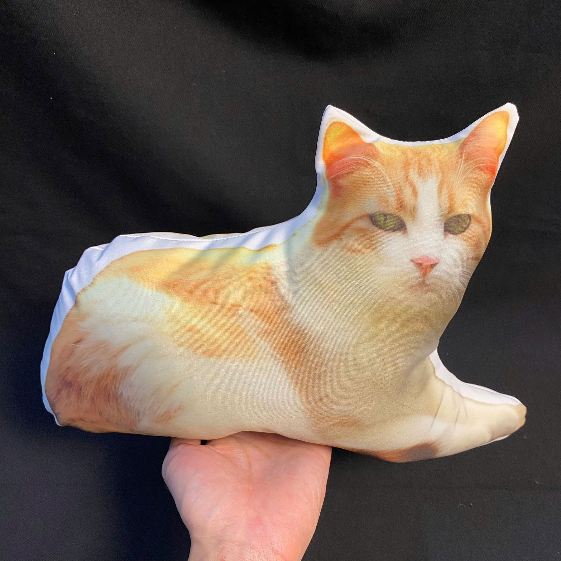 Gối in hình mèo cam